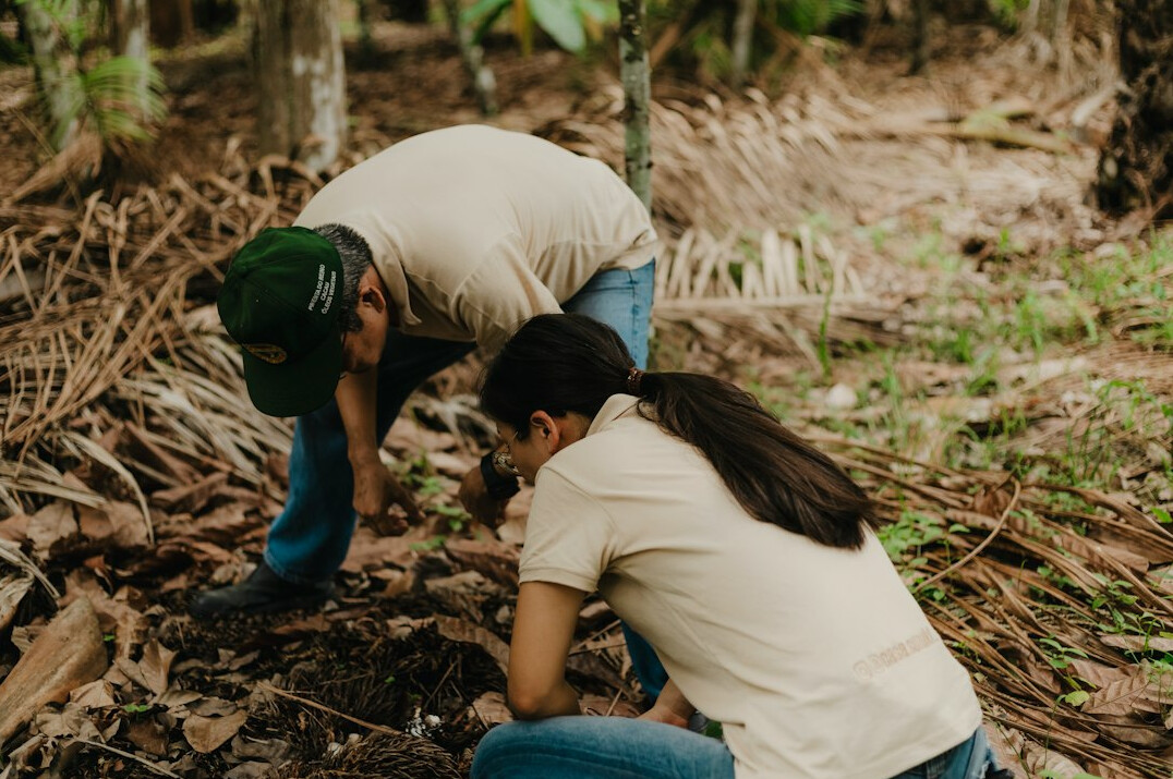 youth planting trees