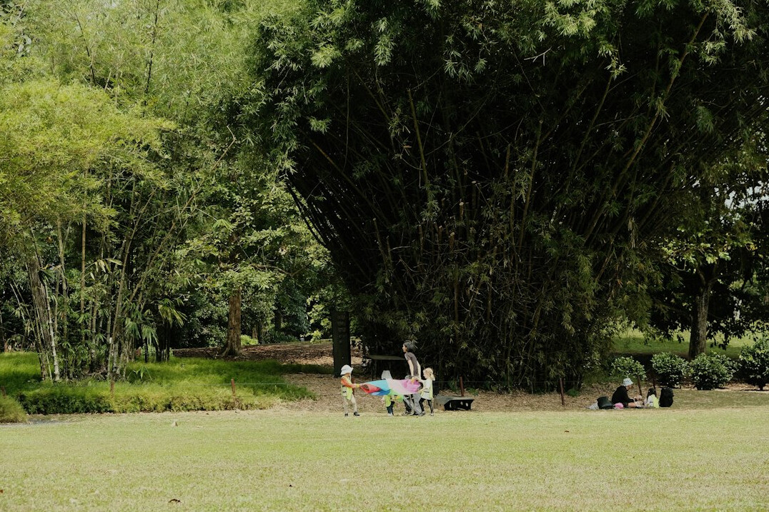 people hiking in nature